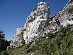 Turnia nad Kaskadami