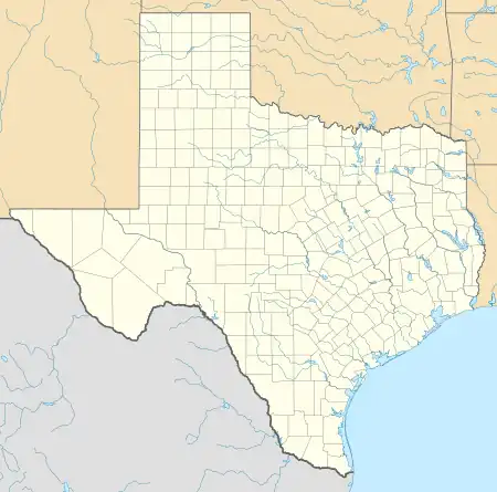 Mapa konturowa Teksasu, po prawej nieco na dole znajduje się punkt z opisem „Houston”