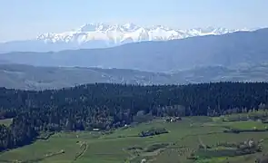 Widok z wieży na Tatry