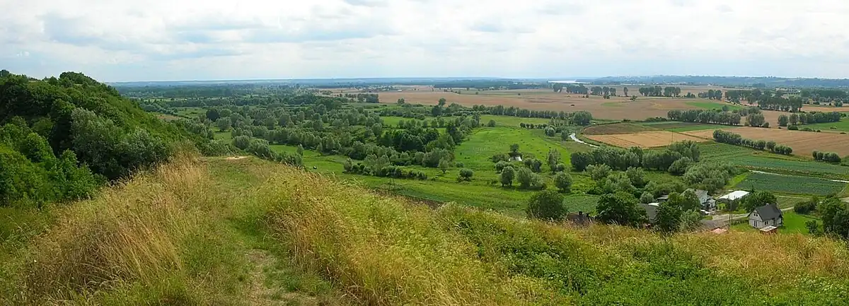 Widok na Basen Unisławski w Dolinie Dolnej Wisły