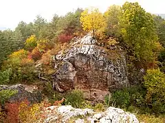 Odsłonięcie geologiczne w rezerwacie przyrody Góra Zelejowa