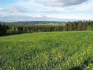 Widok spod szczytu w kierunku Zwierzyńca