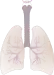 lung