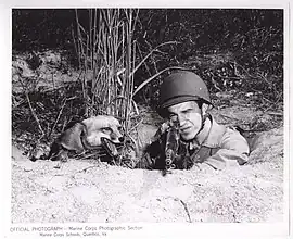 Soldier and fox in foxhole.