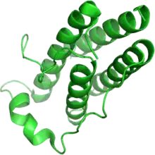 A rendering of a protein