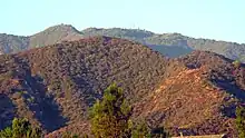 A valley filled with greenery