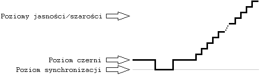 Synał Monochromatyczny.png