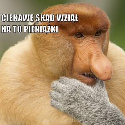 CiekaweSkadWzialNaToPieniazki.jpg